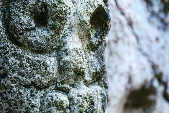 Los Haitises Private Boat Tour - Frequently Asked Questions