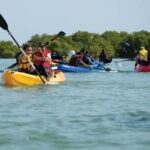 Los Haitises Rain Forest and Kayaking - Exploring the Experience in Depth