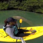 Los Haitises: Sunrise or Sunset wildlife focus - Itinerary Breakdown