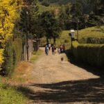 Love Tour - A Detailed Look at the Love Tour in Jardín