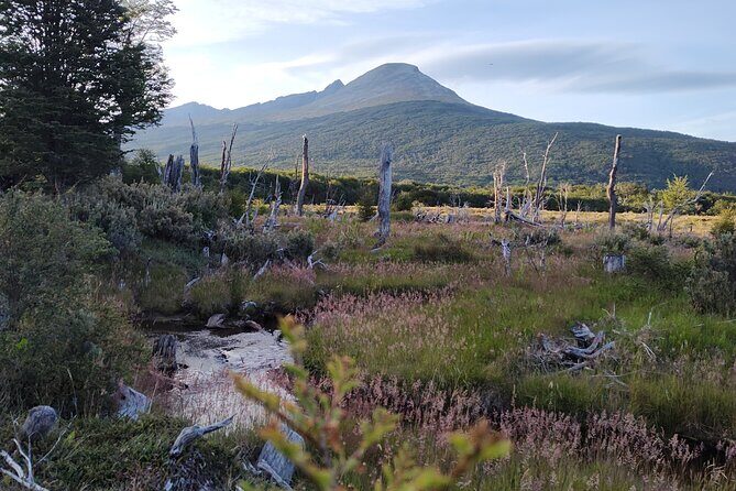 Low cost Ushuaia National Park Private tour - The Panoramic Viewpoint and the Southernmost Golf Course