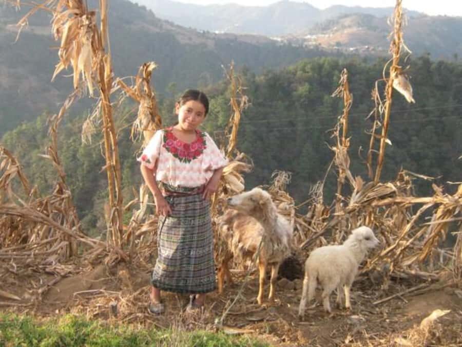 Lower Mayan Trail: San Marcos to Santa Cruz 4-Hour Hike - In-Depth Look at the Lower Mayan Trail Experience