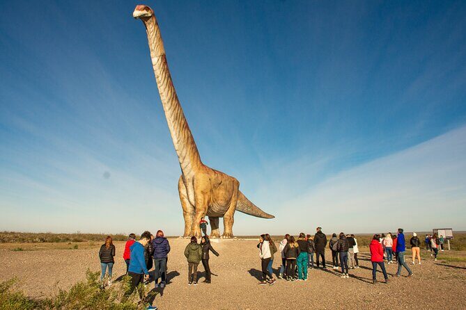 Lower Valley of Chubut River: Welsh heritage - Puerto Madryn - Practical Details & Tips