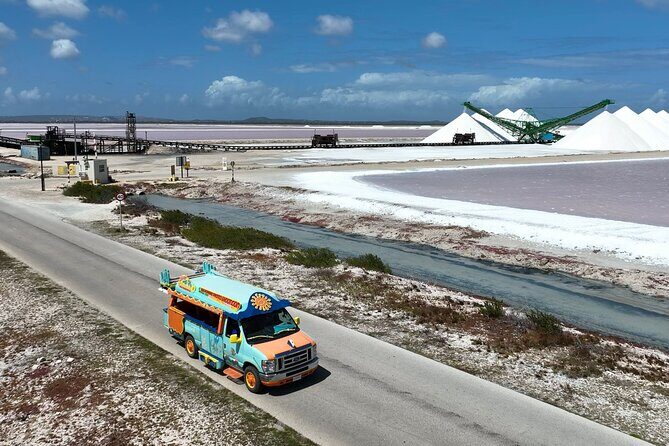 Luc's Private Group Bonaire Open Bus Tour - Why the Tour Works So Well