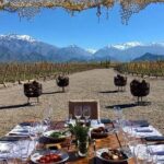 Luján de Cuyo/ Maipú Wineries. Full Day. Transfer. - The Sum Up: The Right Choice for a Personal Mendoza Experience