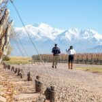 Lujan Deluxe - Full day - Premium Wine Tour with Gourmet Lunch - FAQ
