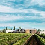 Luján Wine Tasting Guided Experience with Lunch - Who Should Take This Tour?