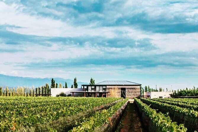 Luján Wine Tasting Guided Experience with Lunch - Who Should Take This Tour?