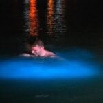 Luminous Lagoon - Why This Tour Offers Good Value