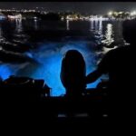 Luminous Lagoon 5 in 1 Experiences - Final Thoughts: Is This Tour Right for You?