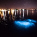 Luminous Lagoon Experience - Why This Tour Offers Great Value