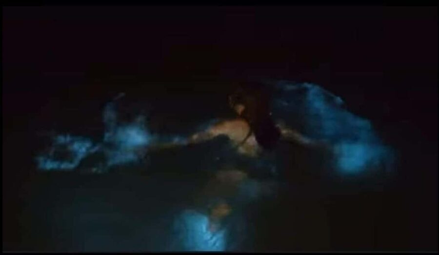 Luminous Lagoon Experience: Ocho Rios Runaway Bay & Falmouth - A Detailed Look at the Luminous Lagoon Tour