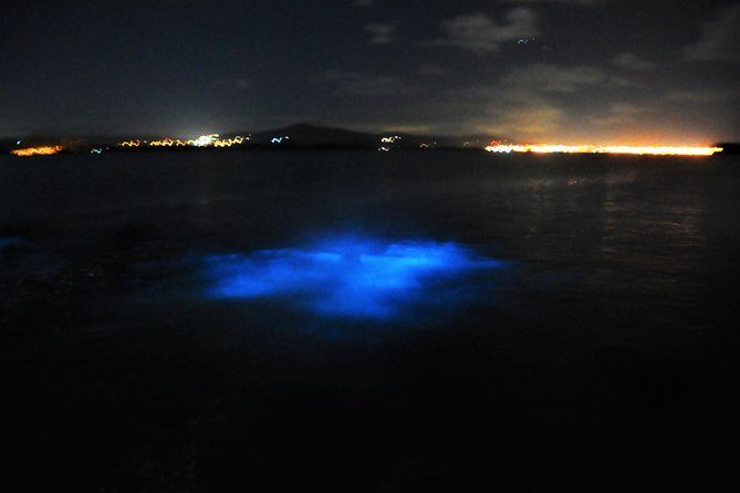 Luminous Lagoon "Glistening Waters" Tour from Falmouth - FAQ