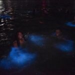 Luminous Lagoon Guided Tour In Montego Bay - Frequently Asked Questions