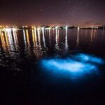 Luminous Lagoon Magical Tour - Final Thoughts: Who Should Book This Tour?