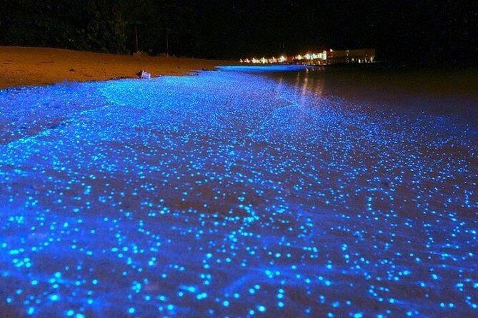 Luminous Lagoon Night-Time Tour from Montego Bay - An In-Depth Look at What to Expect