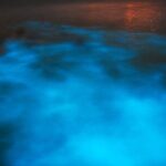 Luminous Lagoon Night Tour from Montego Bay - Frequently Asked Questions