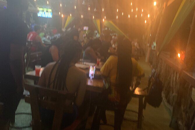 Luminous Lagoon Night Tour from Ocho Rios - An In-Depth Look at the Luminous Lagoon Night Tour