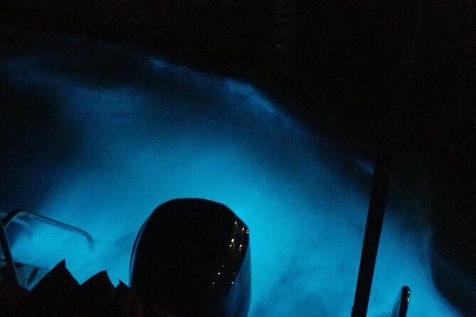 Luminous Lagoon Private Night Tour [ All Fees included ] - FAQ