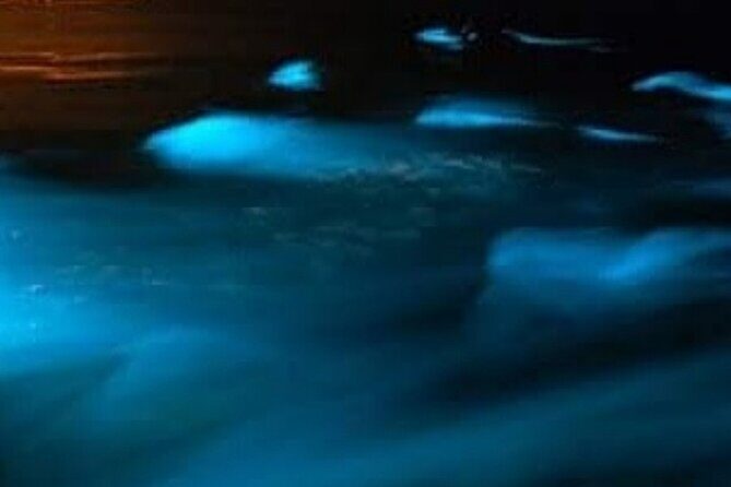 Luminous Lagoon Private Night Tour From Negril - Who Should Consider This Tour?