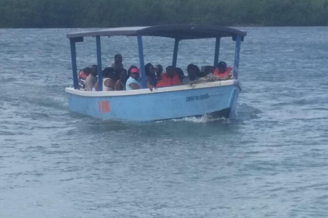 Luminous Lagoon Tour from Montego Bay & Rosehall Hotels - Analyzing the Value