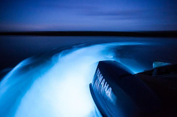 Luminous Lagoon Tour from Montego Bay - Who Should Consider This Tour?