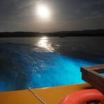 Luminous lagoons Private Nights Tours From Montego Bay - FAQs
