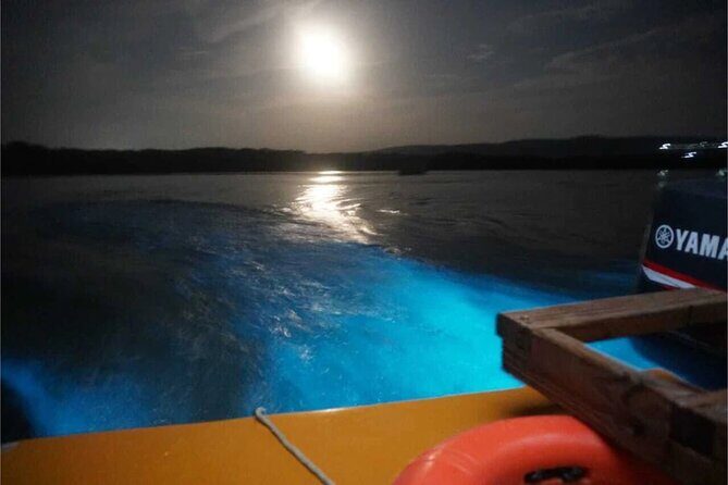 Luminous lagoons Private Nights Tours From Montego Bay - FAQs