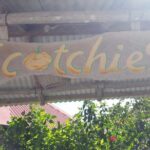 Lunch at Scotchies Jerk Centre From Ocho Rios - Overall Value and Practicality