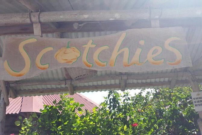 Lunch at Scotchies Jerk Centre From Ocho Rios - Overall Value and Practicality