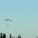 Luquillo Beach and Restaurants Experience Tour - Final Thoughts