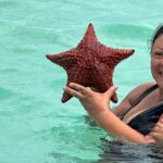 Luxury Catamaran Cruise: Sip, Sail, Snorkel, and Swim with Pigs! - The Sum Up