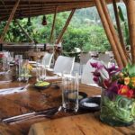 Luxury Coffee Plantation Private Tour (9 Hrs.) - An In-Depth Look at the Tour Experience