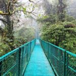 Luxury day-trip off the beaten path to Monteverde Rain Forest - Who Should Consider This Tour?