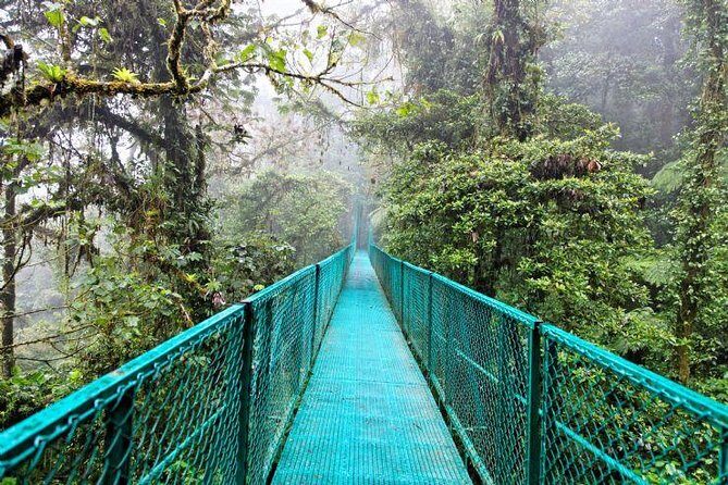 Luxury day-trip off the beaten path to Monteverde Rain Forest - Who Should Consider This Tour?
