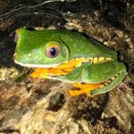 Luxury Half-Day Trip getting off the beaten path Central Valley - Breaking Down the Itinerary