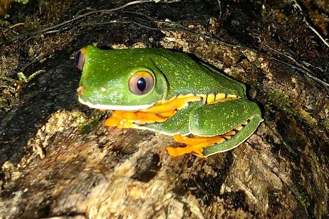 Luxury Half-Day Trip getting off the beaten path Central Valley - Breaking Down the Itinerary