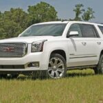 Luxury White Glove Chauffeur & Limo Service in Grand Cayman - Is It Worth the Price?