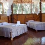 Macaw Collpa & Sandoval Lake 4 Days / 3 Nights - Price and Value: Is It Worth It?