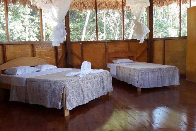 Macaw Collpa & Sandoval Lake 4 Days / 3 Nights - Price and Value: Is It Worth It?