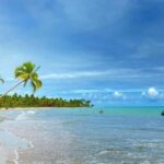 Maceió: Ipioca Beach Tour (Hibiscus Beach Club) - Who Will Love This Tour?