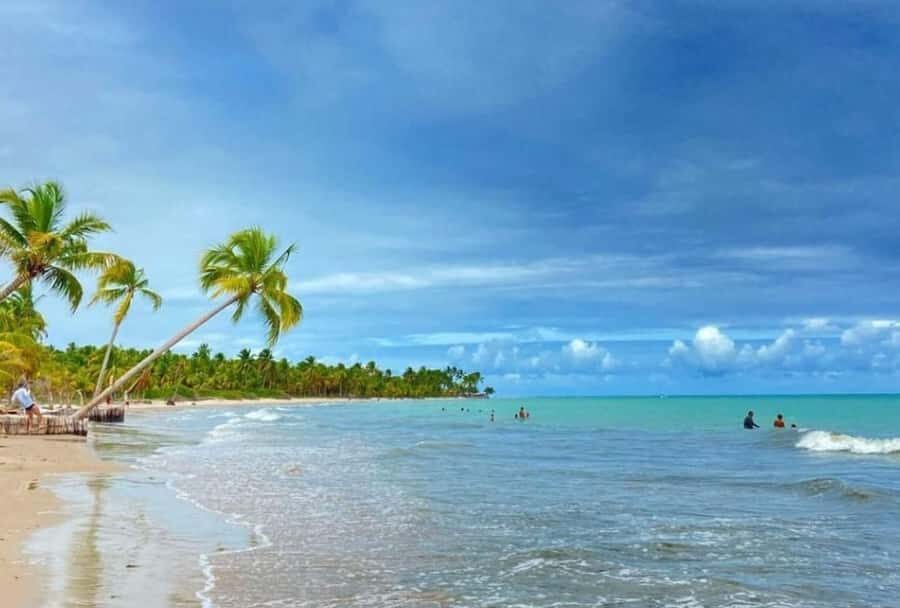 Maceió: Ipioca Beach Tour (Hibiscus Beach Club) - Who Will Love This Tour?