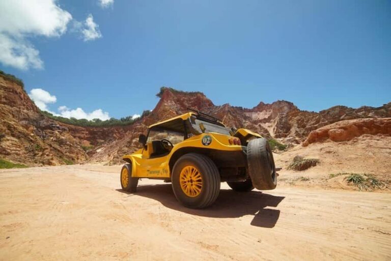 Maceio: Tour to Gunga Beach - A Deep Dive into the Experience