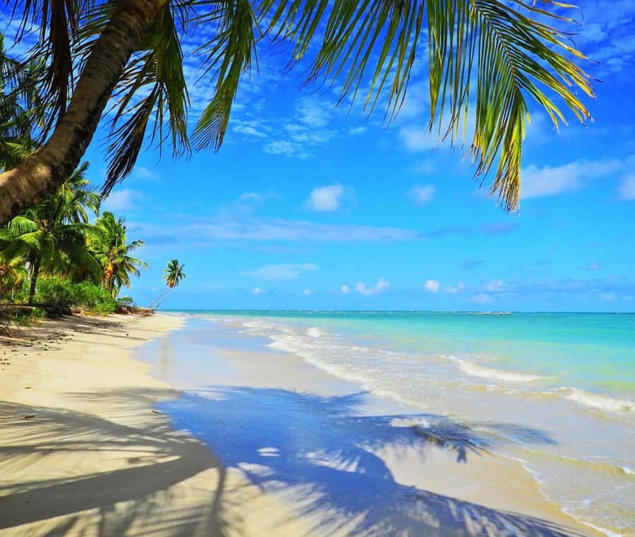 Maceio: Tour to São Miguel dos Milagres - A Detailed Look at the São Miguel dos Milagres Day Tour