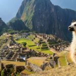 Machu Picchu 1 day Adventure + lunch - Transportation: Comfort and Convenience