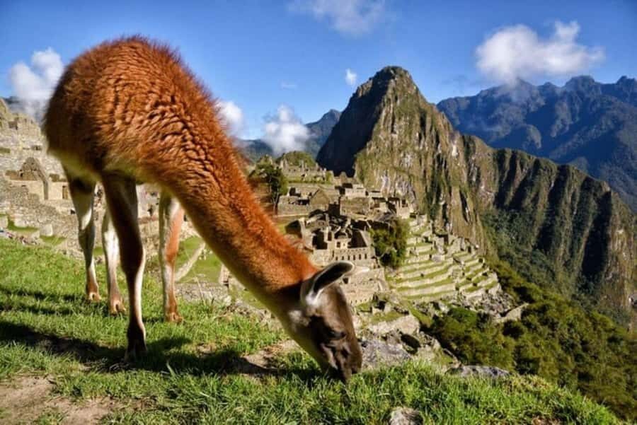 Machu Picchu 1 day Adventure + lunch - A Close Look at the Machu Picchu Day Trip