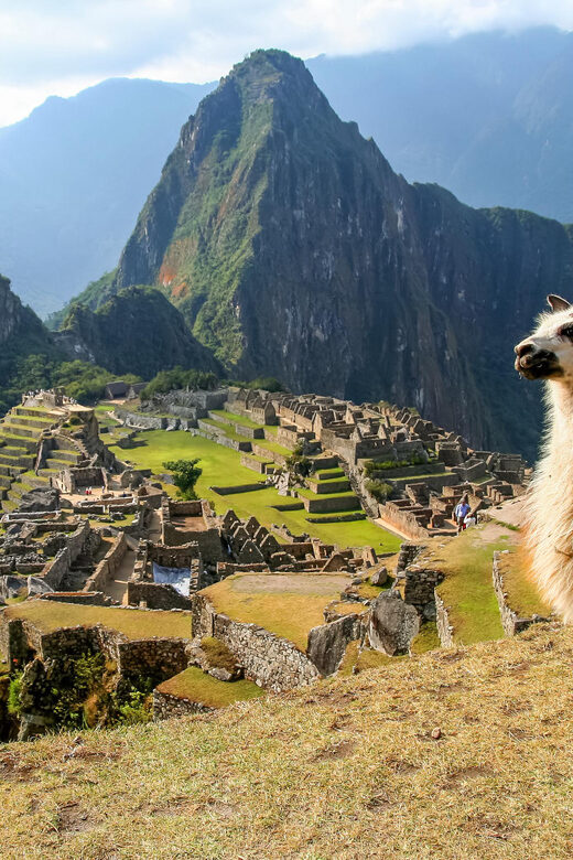 Machu Picchu 1 day Adventure + lunch - Transportation: Comfort and Convenience