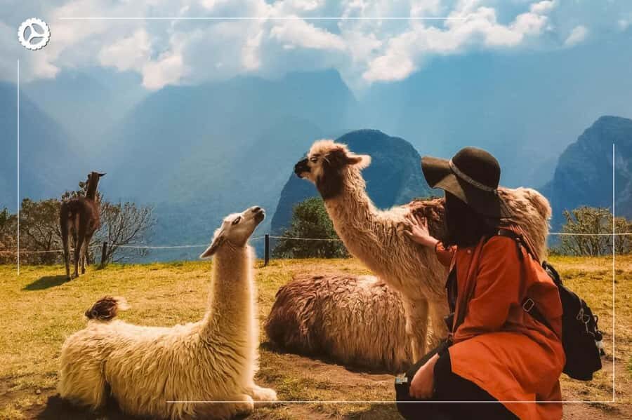 Machu Picchu by bus 2 days - What’s Included and What’s Not