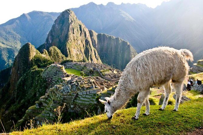 Machu Picchu By Train (Day Trip) - Who Should Consider This Tour?