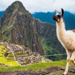 Machu Picchu Day Trip from Ollantaytambo & Urubamba - Considerations and Possible Drawbacks